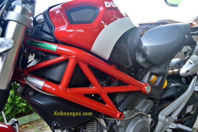 Ducati Monster Kobay